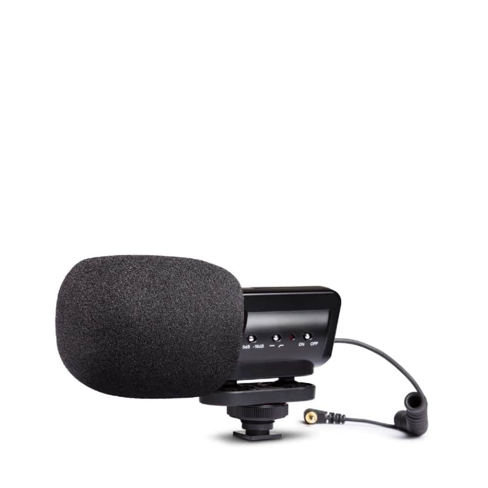 Video Microphones