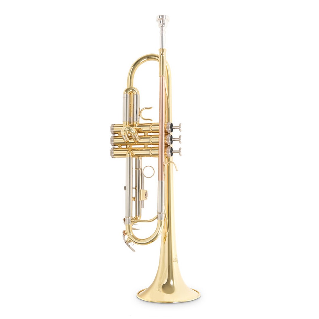 Roy Benson TR-202 Gold Τρομπέτα Bb